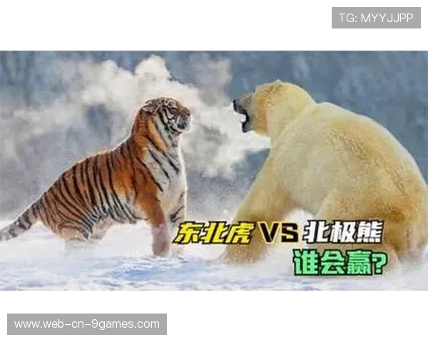 _老虎般的猛龙，鏖战到底笑到最后_，迅猛的老虎